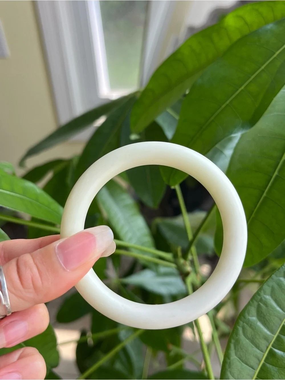 Xiu Jade Bangle Bracelet Light Creamy White - XS D: 52.2-52.4mm